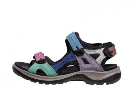 Chaussures de randonn&eacute;e &agrave; Colmar, comment faire le bon choix ?